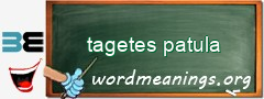 WordMeaning blackboard for tagetes patula